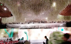 Rò rỉ hình ảnh từ đám cưới Trấn Thành - Hari Won