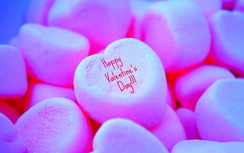 Những lời chúc ngày Valentine 14/2 hài hước nhất