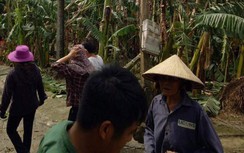 Hà Tĩnh: Phát quang cây xanh sau bão số 10, trưởng thôn tử vong
