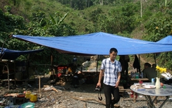 Khởi tố bị can vụ 4 phu vàng ngạt khí chết ở Quảng Nam