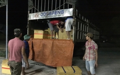 Bình Định: Bắt xe tải chở 600kg thịt thối trên đường đi tiêu thụ