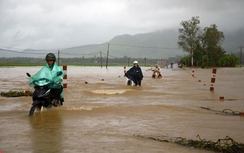Bình Định: Khẩn trương ứng phó sạt lở, ngập lụt do mưa lớn