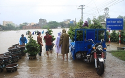 Bình Định: Lũ về, dân Nhơn An ồ ạt chở mai Tết chạy lũ