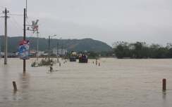 Bình Định: 7 người thương vong, giao thông chia cắt do mưa lũ