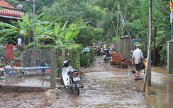Phú Yên: Xóm nhỏ tan hoang sau lũ quét