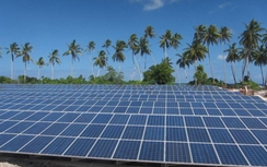 Bình Định sắp có Nhà máy điện năng lượng mặt trời