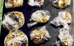 Nghi can trộm hơn 100 lượng vàng tại Bình Định khai gì?