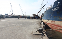 Đình chỉ hoạt động cầu cảng Thị Nại 5.000 tấn chậm sửa hư hỏng