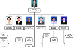 Bình Định: Vượt rào bổ nhiệm "thừa" 3 Phó Giám đốc Sở