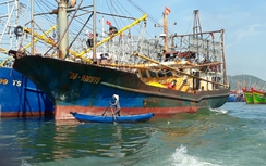 "Tàu thép 67": Phó thủ tướng chỉ đạo gia hạn nợ cho ngư dân