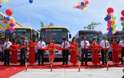 Vì sao Đà Nẵng tạm dừng hoạt động xe buýt miễn phí TMF?