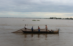 Vỡ đập thủy điện ở Lào, ĐBSCL có bị ảnh hưởng?