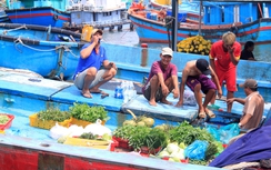 Ngư dân Bình Định phấn khởi mở chuyến biển đầu năm