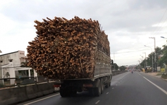 Khánh Hòa tăng cường xử lý xe quá tải