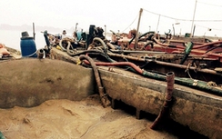 Quảng Ninh: Tóm gọn 14 tàu đang hút trộm cát trên sông