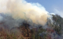 Mâu thuẫn với trưởng thôn, châm lửa đốt cháy 50 ha rừng