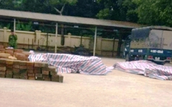 Tuyên Quang: Bắt quả tang 2 ô tô tải chở gỗ lậu