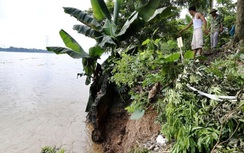 Phú Thọ: Lũ sông Thao lên cao gây sạt lở nghiêm trọng