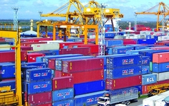 Phó Thủ tướng chỉ đạo xử lý container tồn đọng tại cảng biển