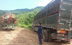 Nghệ An: Lập đoàn công tác để xử xe quá tải