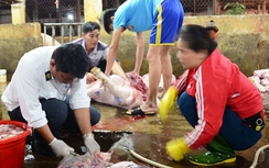 Phát hiện lợn nhiễm chất tạo nạc tại lò mổ lớn nhất Nghệ An