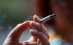 Trong thuốc lá có bao nhiêu chất độc hại?