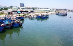 Dừng xây dựng tuyến luồng vào khu bến cảng Thọ Quang