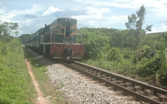 Bộ GTVT yêu cầu TCT Đường sắt VN xử lý nghiêm các sai phạm