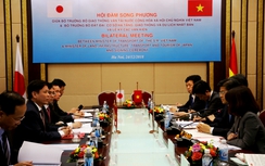 Hội đàm Việt - Nhật thúc đẩy hợp tác giao thông