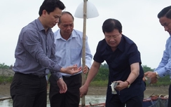 PTT Trịnh Đình Dũng làm Trưởng Ban chỉ đạo điều tra TNMT biển