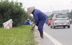 Hà Nội giảm hơn 700 tỷ đồng tiền trồng cây, cắt cỏ