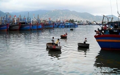 Chính phủ đồng ý điều chỉnh quy hoạch bến cảng Cà Ná