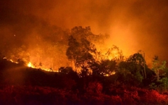 Công an điều tra vụ cháy rừng lớn nhất lịch sử Hà Nội