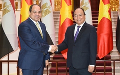 Thủ tướng đề nghị Ai Cập tạo điều kiện cho PVN đầu tư