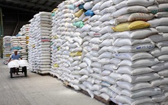 Xuất cấp 10.000 tấn gạo cứu đói cho 15 địa phương