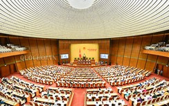 Quốc hội đã họp tiếp thu ý kiến, chỉnh lý Luật đặc khu