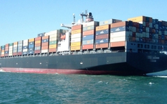 Thanh tra phí vận tải của 20 doanh nghiệp vận tải biển