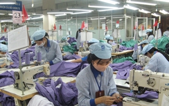 Việt Nam nên mạnh dạn mở cửa thị trường hơn nữa