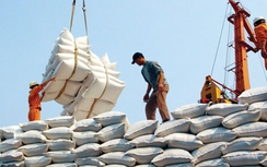 Kinh doanh xuất khẩu gạo được “cởi trói”