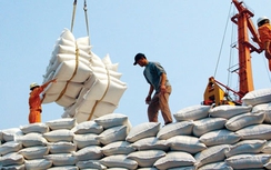 Lập đoàn xác minh vụ “xin giấy phép xuất khẩu gạo mất 20.000 USD”