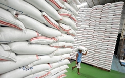 Thực hư thông tin “xin giấy phép xuất khẩu gạo phải mất 20.000 USD”