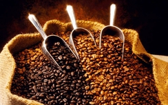 Ấn Độ dỡ bỏ lệnh cấm nhập khẩu cà phê, hạt tiêu Việt Nam