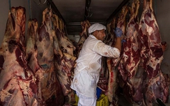Nhập khẩu thịt bẩn từ Brazil: Bộ Công thương gửi công văn hỏa tốc