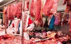 Vụ thịt bẩn Brazil: Việt Nam chủ yếu nhập khẩu thịt gà