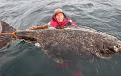 Câu được "quái vật" biển dài 2 mét, nặng 100kg