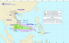 Tin mới nhất cơn bão số 14: Khánh Hòa-Bình Thuận mưa lớn