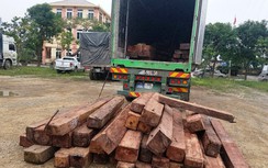 Xe đầu kéo chở gỗ lậu trị giá 700 triệu đồng