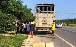 Tạm giữ tài xế gây tai nạn khiến vợ chồng thai phụ tử vong