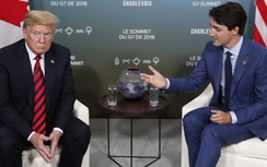 Cố vấn của ông Trump phải xin lỗi vì xúc phạm Thủ tướng Canada