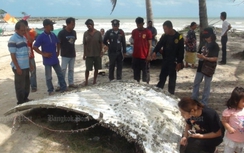 Mảnh vỡ tìm thấy ở Thái Lan không phải máy bay MH370 mất tích